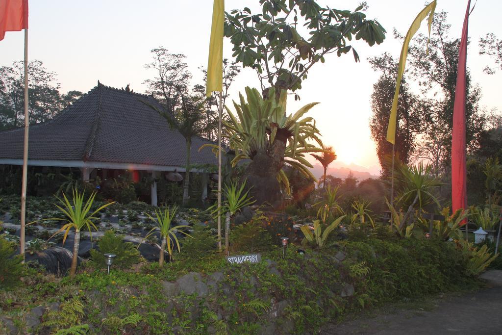 Hotel Warung Rekreasi Bedugul Exteriér fotografie